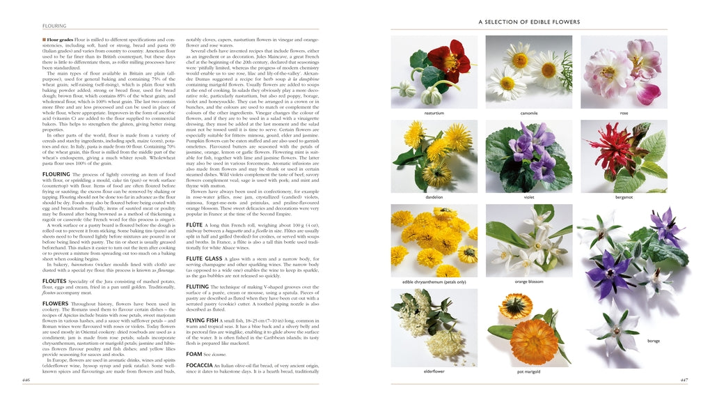 New Larousse Gastronomique