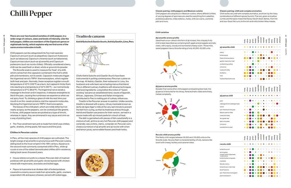 The Art & Science of Foodpairing by Peter Coucquyt, Bernard Lahousse, Johan Langenbick