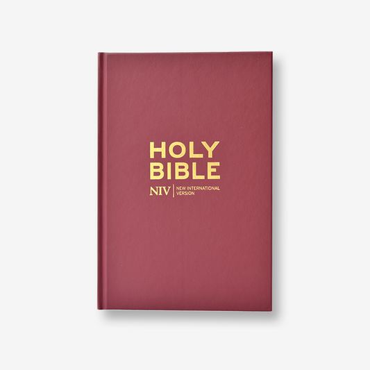 Burgundy edition of the NIV Holy Bible