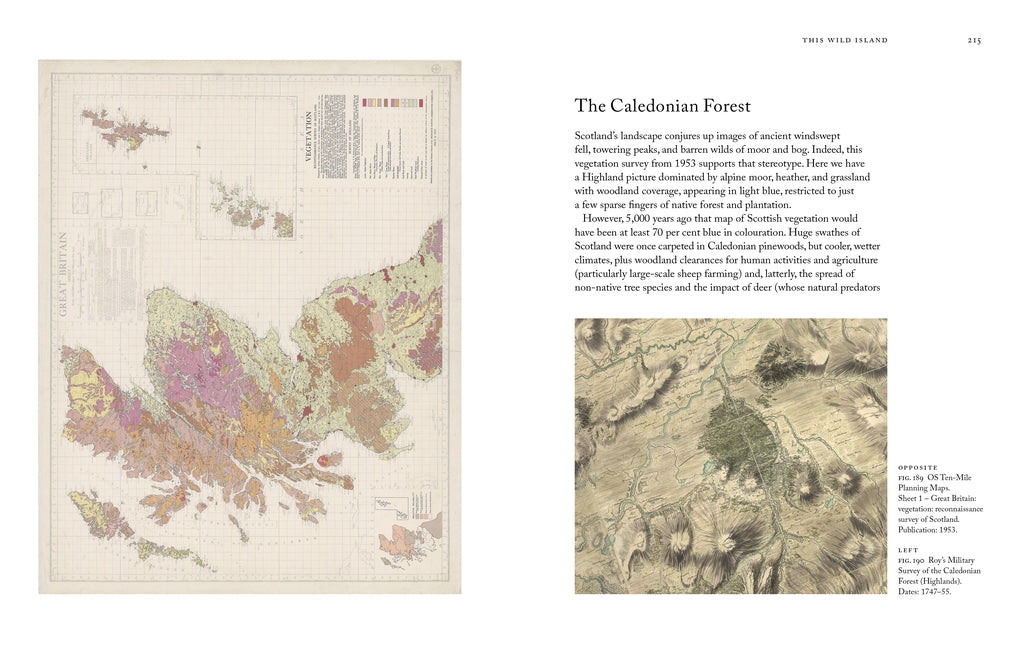 Mapping Britain by Will Millard