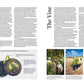 World Atlas of Wine 8th Edition by Hugh Johnson, Jancis Robinson