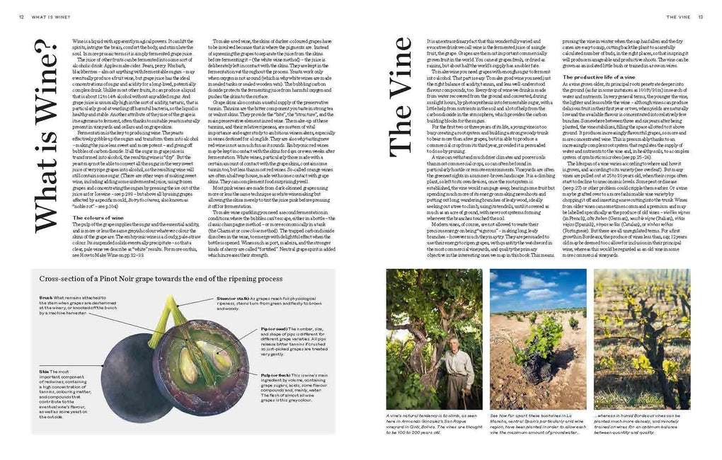 World Atlas of Wine 8th Edition by Hugh Johnson, Jancis Robinson
