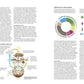 The World Atlas of Wine 9th edition by Hugh Johnson, Jancis Robinson, Julia Harding