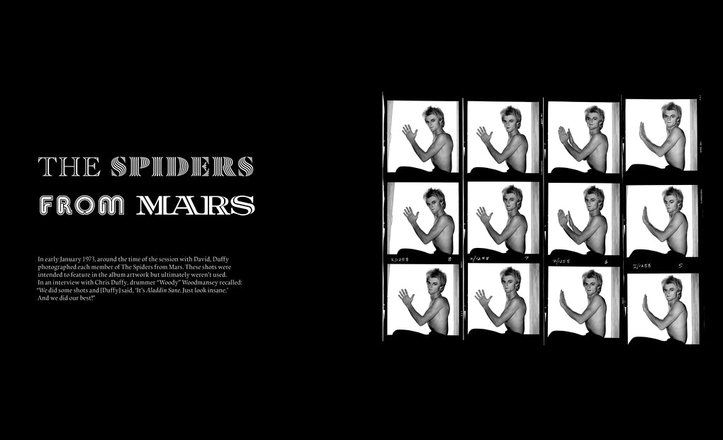Aladdin Sane 50 by Chris Duffy