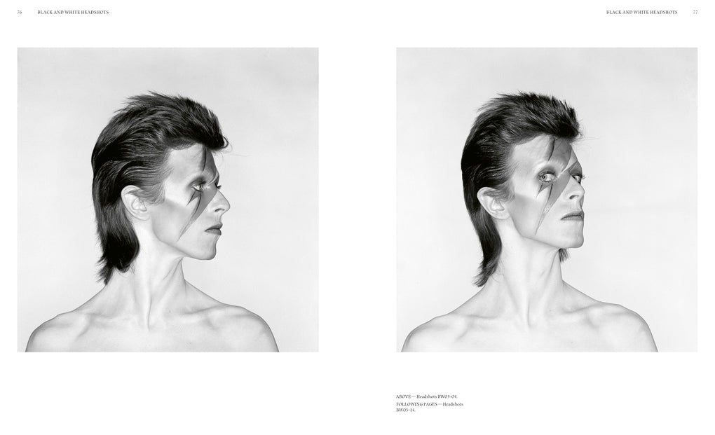 Aladdin Sane 50 by Chris Duffy