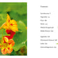 Grow, Cook, Nourish by Darina Allen