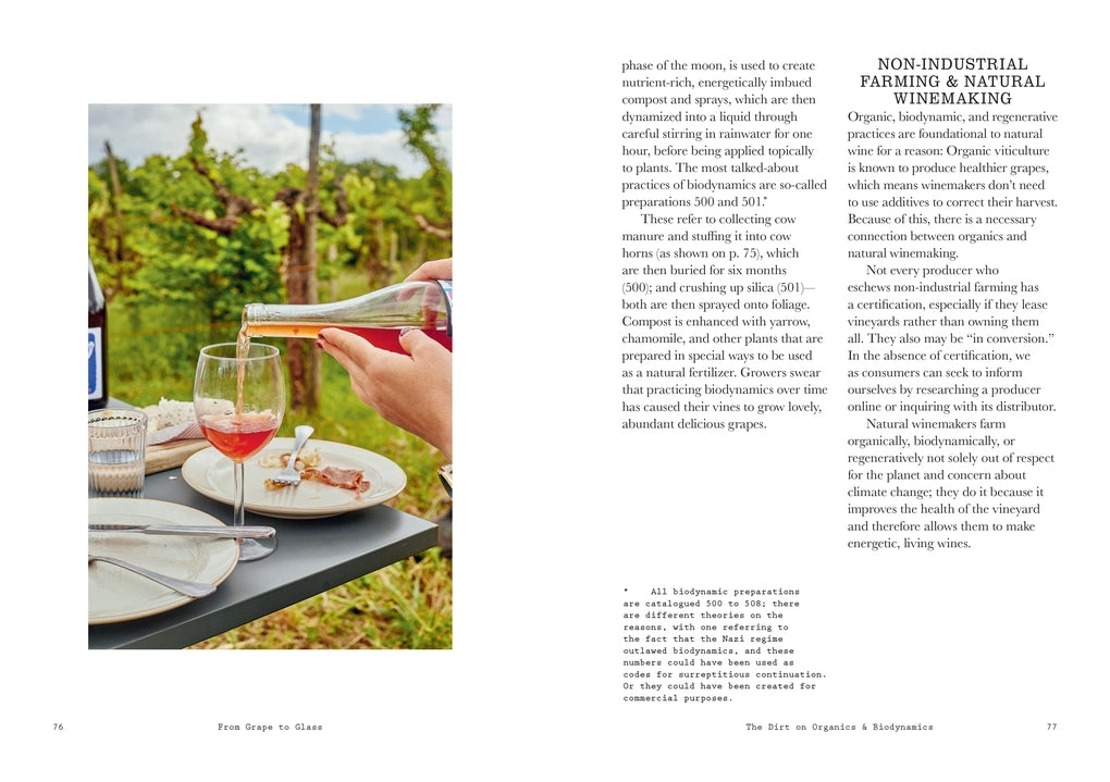 How to Drink Natural Wine by Rachel Signer