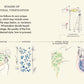 How to Drink Natural Wine by Rachel Signer