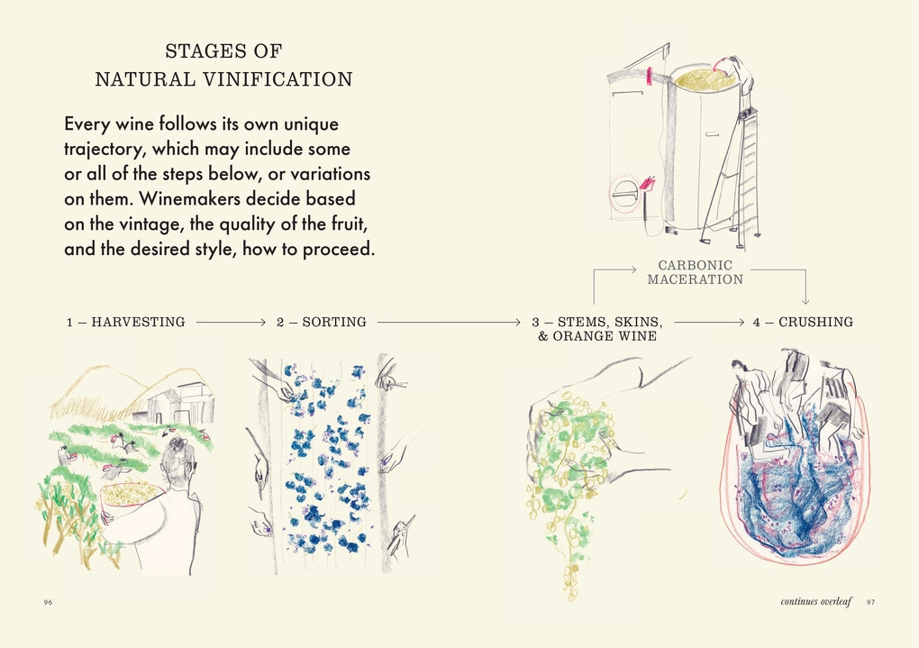 How to Drink Natural Wine by Rachel Signer